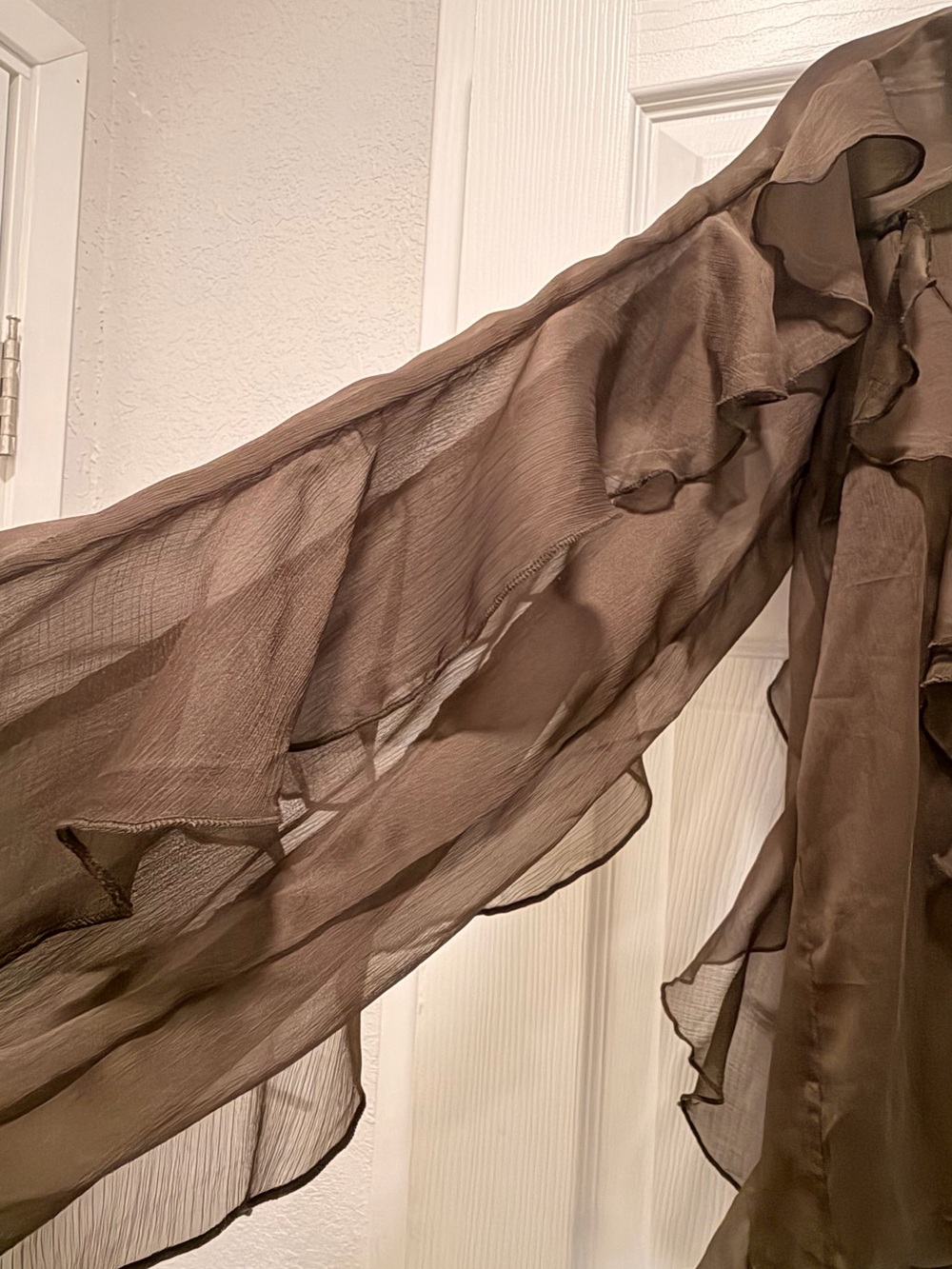 Ina Sheer Ruffle-Front Button Blouse - Brown - Picture 5 of 5